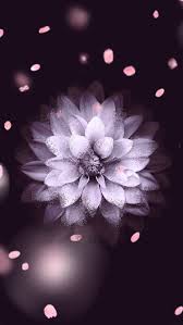 But once you get to know this london affair a wee bit little better, it really comes at no surpri. Cute Flower Wallpaper For Iphone Novocom Top