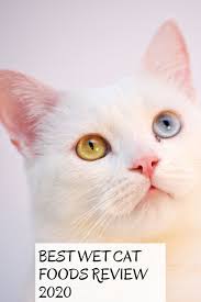 Perle chicken mini fillets in gravy. Best Wet Cat Foods Review 2020 Cat Food Reviews Best Cat Food Cats