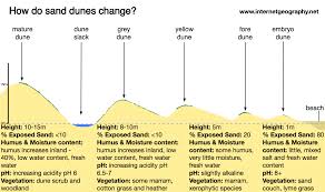 how are sand dunes formed internet geography