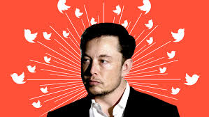 Elon musk on tuesday asked his followers on twitter if tesla should begin accepting the cryptocurrency dogecoin. Elon Musk Needs Permission To Tweet About These 9 Things In The Future Cnn