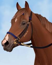 Deviantart Discover The Largest Online Art Gallery And Community In 2020 Horse Drawings Star Stable Horses Horse Art