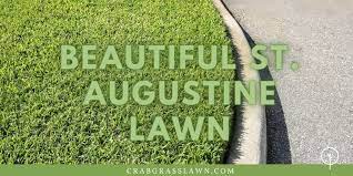 Water the grass, which is not less than one inch every day, to reduce burn from fertilizer. How To Make St Augustine Grass Spread Quickly And Grow Thicker Cg Lawn