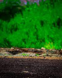 Best Photo Editing Backgrounds Download Photoshop Digital Background Blur Photo Background Desktop Background Pictures