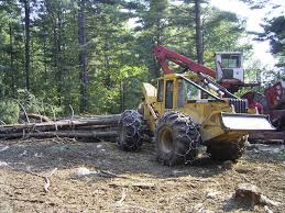 Whether a taxpayer has small or large landholdings, he will usually pay a capital gains tax at the state and federal level when he sells timber. Timber Harvesting Nys Dept Of Environmental Conservation