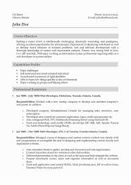 Personal Business Profile Template In 2020 Web Developer Resume Resume Outline Job Resume
