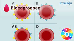 Bloedgroepen