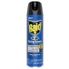 Raid Outdoor Fresh Flying Insect Killer Spray 7 18oz 1ct Target