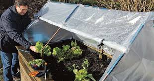 Pin Von Lisa Auf Garten In 2020 Hochbeet Fruhbeetaufsatz Hochbeet Pflanzen