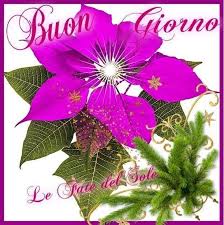 Le tre categorie che mi impegnerò a portare più spesso, saranno infatti il buongiorno, la buonanotte e le frasi belle. 45 Buongiorno Con I Fiori Immagini Da Mandare Lebelleimmagini It