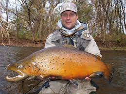 Pin By Larry Ball On Fishing Trout Fishing Salt Water Fishing Fish