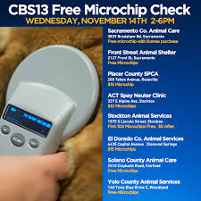 24petwatch pet protection services 911petchip akc reunite bc pet registry eidap found animals free pet chip registry homeagain homeward bound pet infopet microchip i.d. Call Kurtis Investigates Microchip Flaw Could Keep You From Getting Pet Back Cbs Sacramento