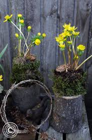 Gartendeko online kaufen bei yomonda große auswahl schnelle lieferung kostenloser rückversand payback punkte sammeln. Naturnahe Gartendeko Mit Winterlingen Seaside Cottage