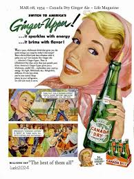 Any Mason's Root Beer or 2-Way soda memories?