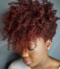 Pin By Tara On Kinky Curly Cute Short Natural Hairstyles Curly Hair Styles Naturally Tapered Natural Hair