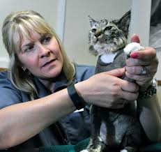 A bit singed and burned, cat survives Monday morning blaze