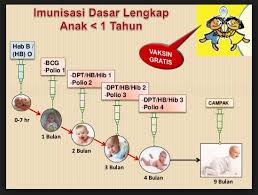 Imunisasi Lengkap Pada Bayi 1 Tahun Bayi Kesehatan Anak Seputar Bayi