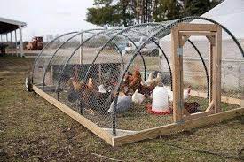 Https Www Facebook Com 208050686044493 Photos A 529464047236487 1073741905 208050686044493 52946490 Chicken Tractors Backyard Chicken Coops Chickens Backyard