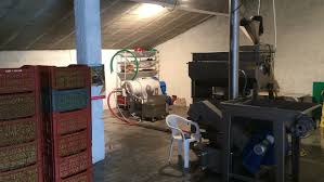 En Herault Le Moulin A Developpe Un Savoir Faire Pour Presser Ses Huiles D Olives
