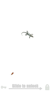 The game allows you to transform into a crow and explore . Fly For Android Apk Download