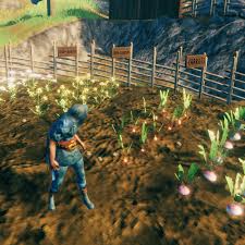 We did not find results for: Valheim Planting Seeds And Farming Polygon