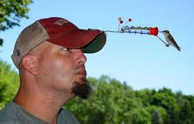 Hat Hummingbird Feeder Etsy