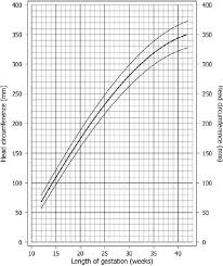 head circumference size chart after chitty et al 4