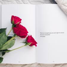 10 maneras, como sorprender a tu novia con un detalle, que te quiera mas. Frases Lindas Para Sorprender A Tu Novia