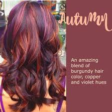 Copper Violet Autumn Hair Hair Color For Women Colored Hair Tips Dark Red Hair Color