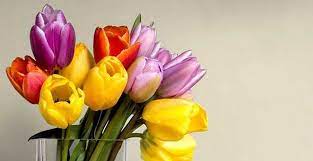 We did not find results for: 4 Good 13 Bad Mother S Day Gifts To Give Your Girlfriend S Mom