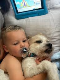 Jack and Bear litter mates and bestfriends 🖤🤍🤎💛