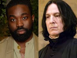 Author defends casting choice in potter series