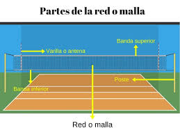 Las variaciones de uno se pueden encontrar aquí. 60 Reglas Basicas Del Voleibol Descubre Cuales Son Y Su Importancia Toda Materia