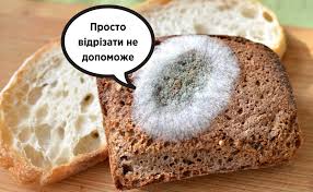 Польський міністр заразився коронавірусом: уряд пішов на карантин - Цензор.НЕТ 5423