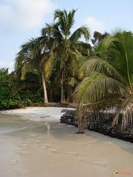 Oh Coco Corealine Equatorial Africa Gabon Scenery