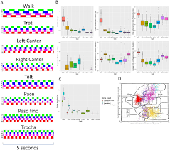International foundation year in science and engineering. Improving Gait Classification In Horses By Using Inertial Measurement Unit Imu Generated Data And Machine Learning Scientific Reports
