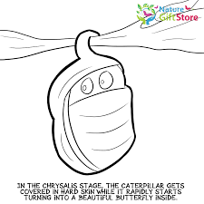 Fun, easy & free to print. Butterflies Coloring Page 4 Nature Gift Store