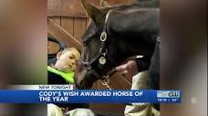 WATCH | Cody's Wish wins Horse of the Year award