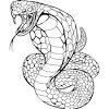 We have collected 35+ cobra snake coloring page images of various designs for you to color. 1