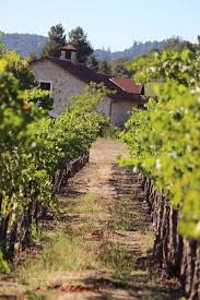 French Vineyards Landschaftsbilder Weinland Bilder