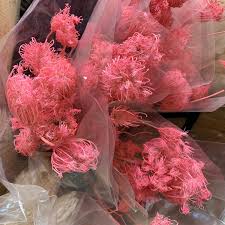 Shop with afterpay on eligible items. Dried Pink Fennel Flower Florabundance Wholesale Flowers