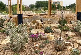 Wonderful photos and information on cacti and succulents. Cold Hardy Cacti For The Mountain West Finegardening