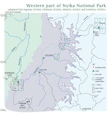 Image result for Trichopteryx marungensis