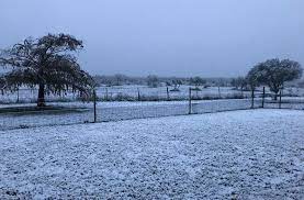 Snow In South Texas Turns The Lone Star State Into A Winter Wonderland Photos South Texas Snow Texas Photo