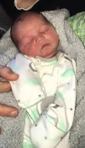 One of the newer members of the family