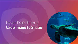 Basically, there are many software out there that are better than powerpoint but it depends on the area of your work. Best Powerpoint Alternatives In 2020 Youtube