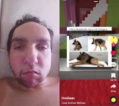 Dog with Compressed Spine Meme