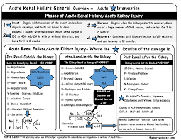 This Is Part Of My Renal Unit In The Nurses Notes To Explain The Process Of The What Is The Main Focus Of My Tea Acute Renal Failure Nursing Labs Nursing