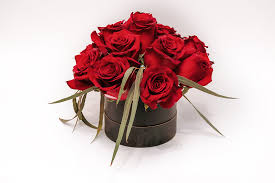 We did not find results for: Mom Loves Roses Windsor On Florist