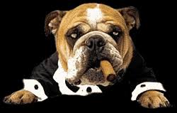 We did not find results for: Bulldogs Animated Images Gifs Pictures Animations 100 Free
