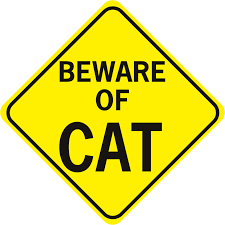 K smart sign ltd acrylic aluminium decorative house door plaque. Beware Of Cat Signxing Aluminum Signs